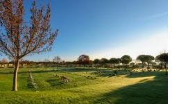 campo